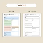 Business Overview Planner available in colorful and ink-friendly black-and-white