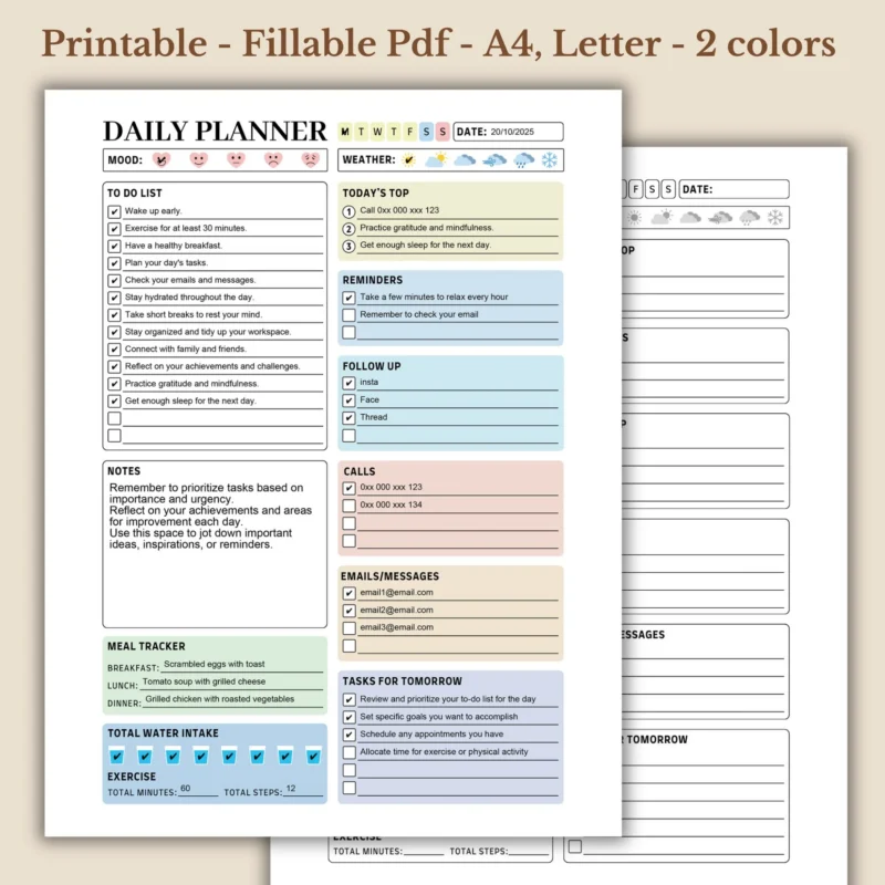 Daily Planner Work Life Balance Fillable PDF Wellness Tracker (1)