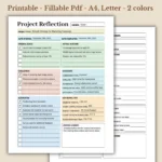 Project Reflection fillable PDF for Professional Growth & Performance Review